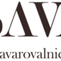 SavaRe-325x90-150