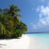 maldivi