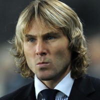 nedved