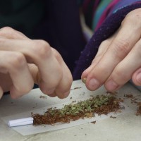 kanabis konoplja marihuana joint zvijanje