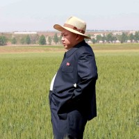 kim jong un, riž