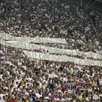 hajduk