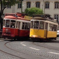 papagaj tramvaj (1)