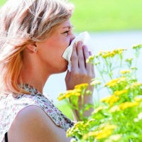 Alergija, bolezen današnjega časa