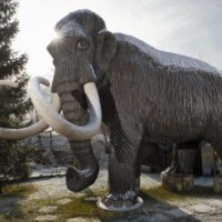 Zakaj Kamnik noče mamuta?