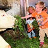 Varstvo otrok na kmetiji