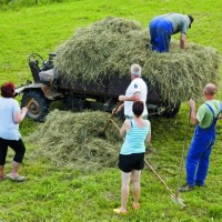 Bo upokojenec smel upokojencu kidati sneg?