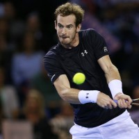 andy murray