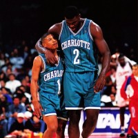 Bogues