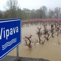 Reka Vipava ob deževju ne prizanaša