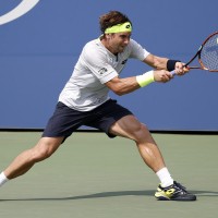 david ferrer