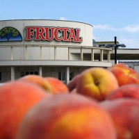 Fructal si želi z Vipavsko stkati še trdnejše odnose