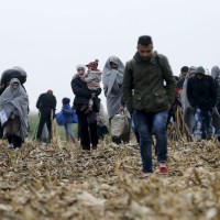migranti, begunci, hrvaška meja