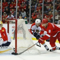 Florida Panthers Roberto Luongo Justin Abdelkader Detroit Red Wings