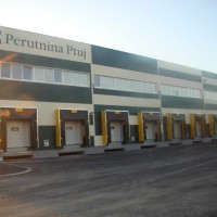 perutnina ptuj (3)