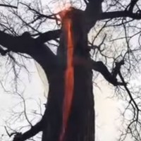 Hudičevo drevo, ogenj