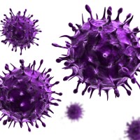 Flu-Virus