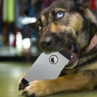 pes mobilnik telefon gsm (2)