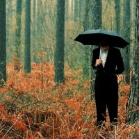 pogrešana oseba samotar samota dežnik vreme gozd (2)