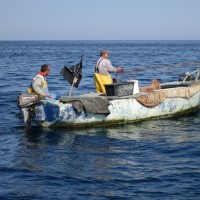 Trajnostno upravljanje priobalnega ribolova v Strunjanu