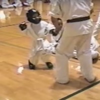 Kikboks, karate