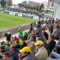 olimpija navijaci