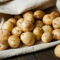 mladi krompir