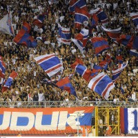 torcida