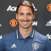 zlatan-m