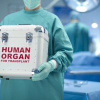 človeški organ