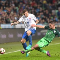 slovaska slovenija verbic gw