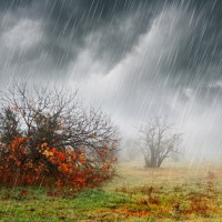 dež, padavine, jesen, travnik