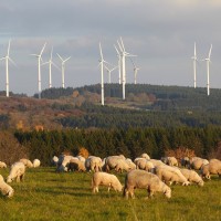 obnovljivi viri, podnebne spremembe