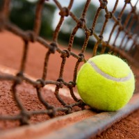 tenis