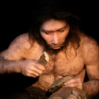 neandertalec, model, voščena lutka, muzej