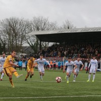 sutton united