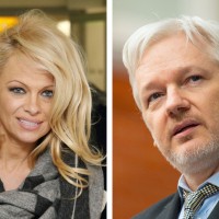 Pamela Anderson, Julian Assange