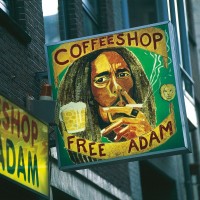 coffee shop, trava, marihuana
