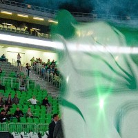 stozice-zmajcica af