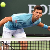 djokovic