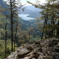 bohinjsko jezero, pogled s komne, komna, pot na komno