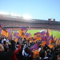 cam nou