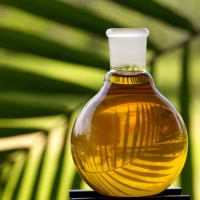 palmovo olje2