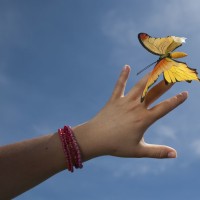 6 Prsti, dlan, metulj