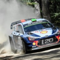 paddon