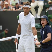 del potro