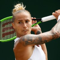 hercog 1