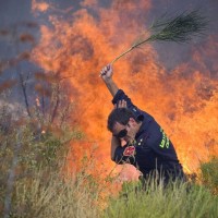 požar, gasilec, gašenje, Hrvaška, Dalmacija