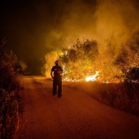 gozdni požar, gašenje, gasilci,Tivat, Črna gora