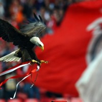 orel benfica